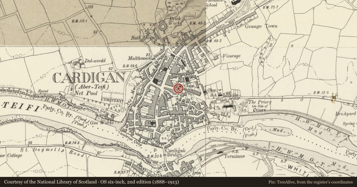 Ordnance Survey six-inch map, 2nd edition (1888–1913) covering the location of ForeCourt Railings & Gatepiers at Mount Zion Baptist Chapel, Cardigan, Ceredigion, with a pin at the register's coordinates
