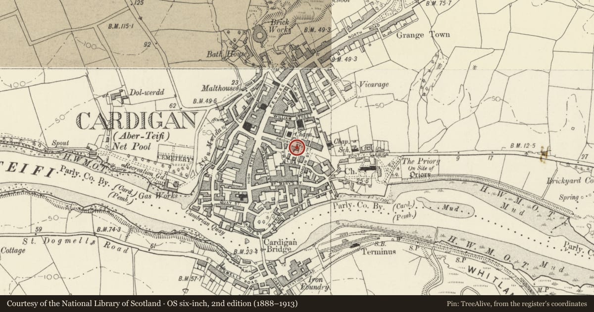Ordnance Survey six-inch map, 2nd edition (1888–1913) covering the location of Broyan House, Cardigan, Ceredigion, with a pin at the register's coordinates