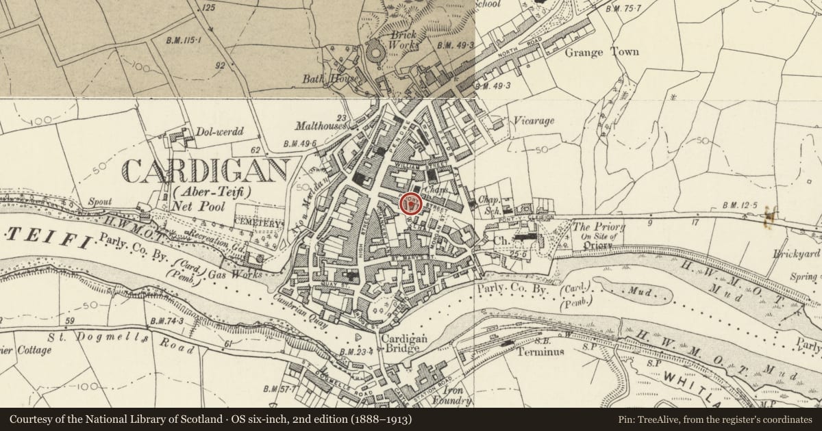 Ordnance Survey six-inch map, 2nd edition (1888–1913) covering the location of Graystone, Cardigan, Ceredigion, with a pin at the register's coordinates