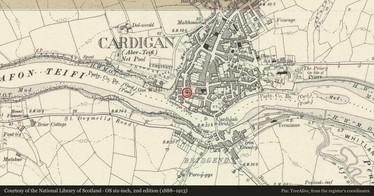 Ordnance Survey six-inch map, 2nd edition (1888–1913) covering the location of 16 Quay Street, Cardigan, Ceredigion, with a pin at the register's coordinates
