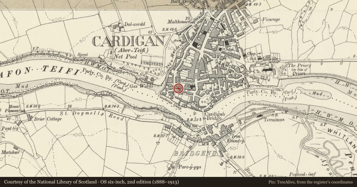 Ordnance Survey six-inch map, 2nd edition (1888–1913) covering the location of 17 Quay Street, Cardigan, Ceredigion, with a pin at the register's coordinates