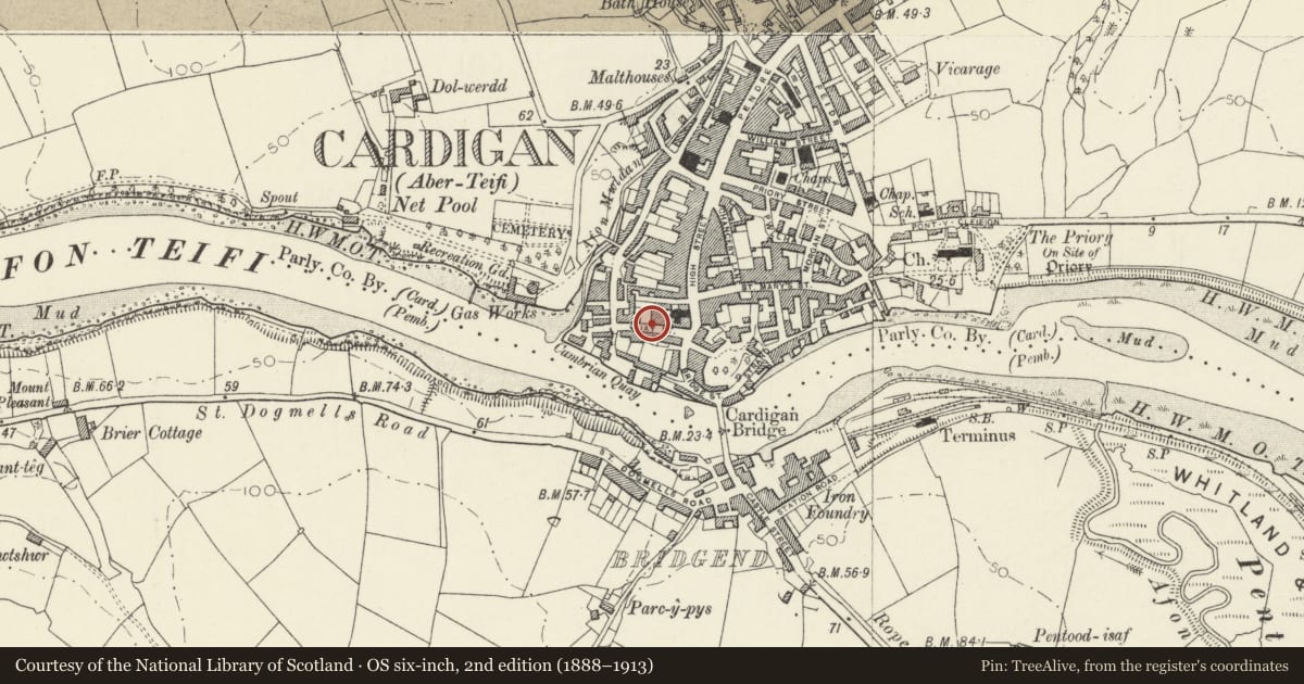 Ordnance Survey six-inch map, 2nd edition (1888–1913) covering the location of 20 Quay Street, Cardigan, Ceredigion, with a pin at the register's coordinates