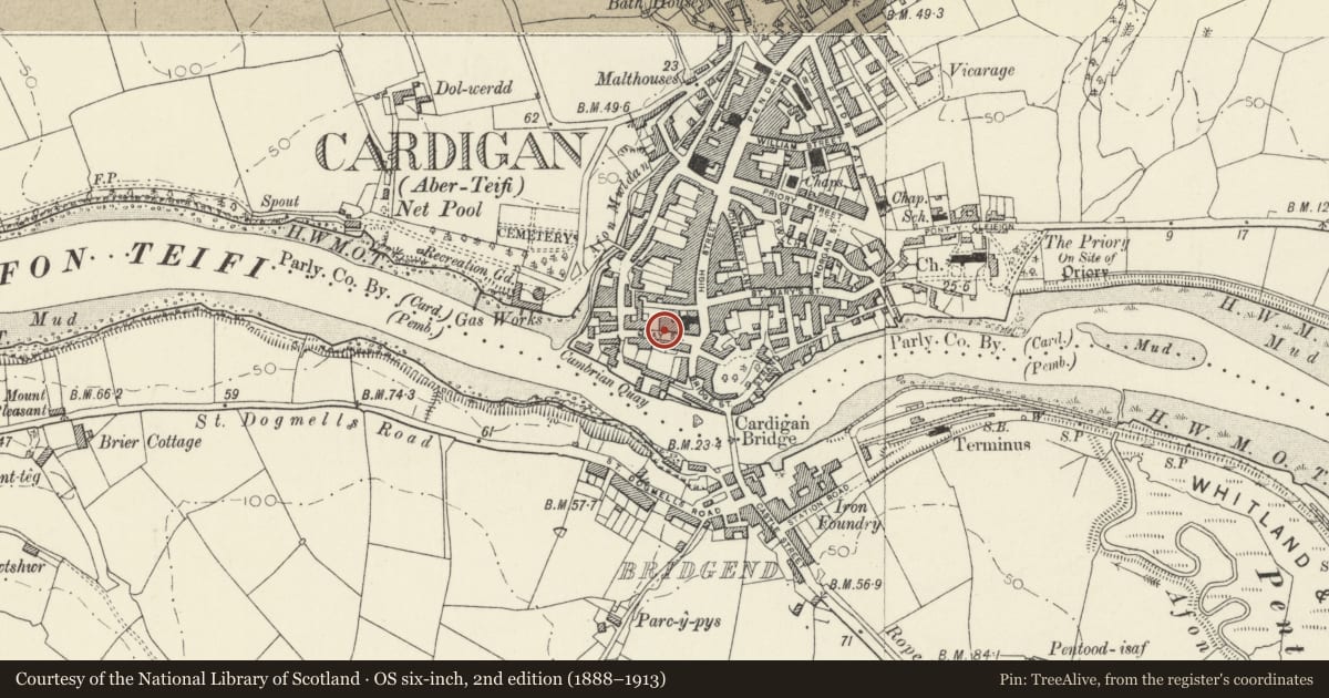 Ordnance Survey six-inch map, 2nd edition (1888–1913) covering the location of 20a Quay Street, Cardigan, Ceredigion, with a pin at the register's coordinates