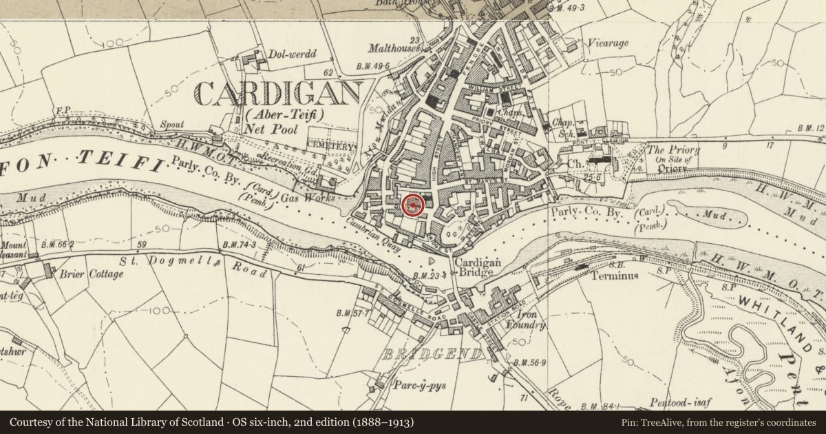 Ordnance Survey six-inch map, 2nd edition (1888–1913) covering the location of 21 Quay Street, Cardigan, Ceredigion, with a pin at the register's coordinates