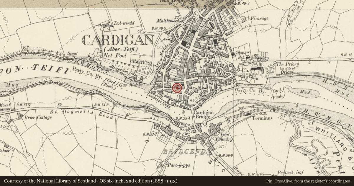 Ordnance Survey six-inch map, 2nd edition (1888–1913) covering the location of 22 Quay Street, Cardigan, Ceredigion, with a pin at the register's coordinates