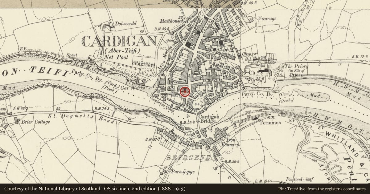 Ordnance Survey six-inch map, 2nd edition (1888–1913) covering the location of 25 Quay Street, Cardigan, Ceredigion, with a pin at the register's coordinates