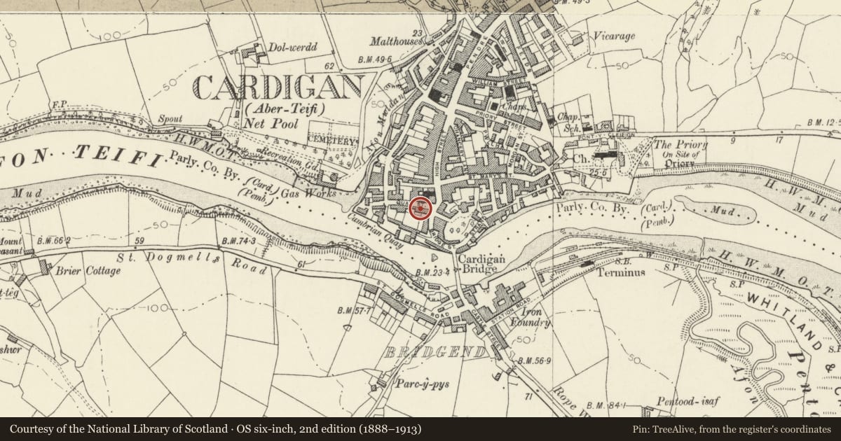 Ordnance Survey six-inch map, 2nd edition (1888–1913) covering the location of 1 Quay Street, Cardigan, Ceredigion, with a pin at the register's coordinates