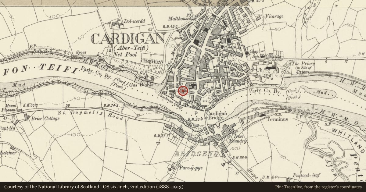 Ordnance Survey six-inch map, 2nd edition (1888–1913) covering the location of 1 Rook Terrace including Forecourt Walls Railings & Gates, Cardigan, Ceredigion, with a pin at the register's coordinates