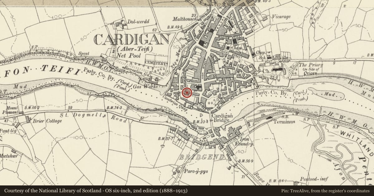 Ordnance Survey six-inch map, 2nd edition (1888–1913) covering the location of 2 Rook Terrace including Forecourt Walls Railings & Gates, Cardigan, Ceredigion, with a pin at the register's coordinates