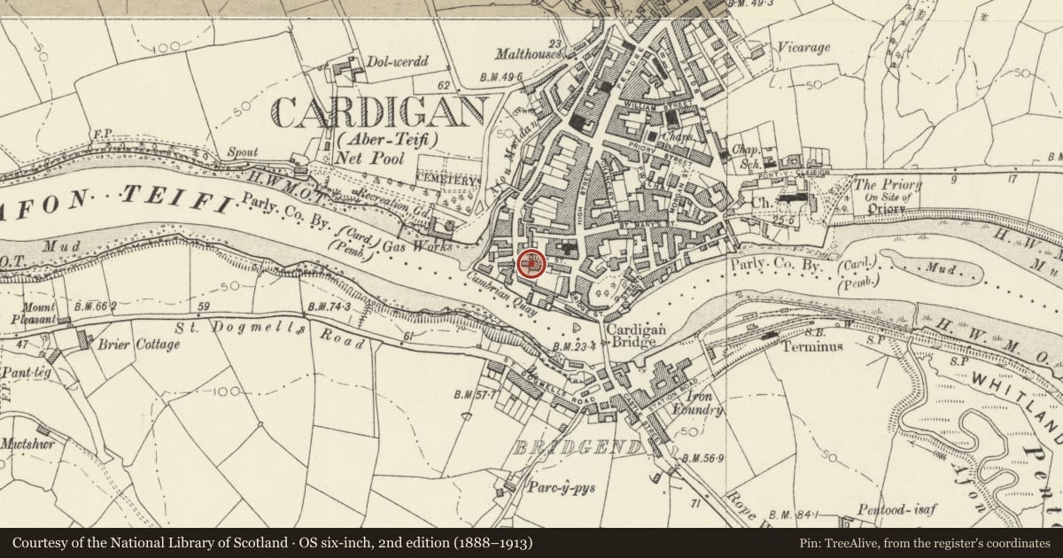 Ordnance Survey six-inch map, 2nd edition (1888–1913) covering the location of 3 Rook Terrace including Forecourt Walls Railings & Gates, Cardigan, Ceredigion, with a pin at the register's coordinates
