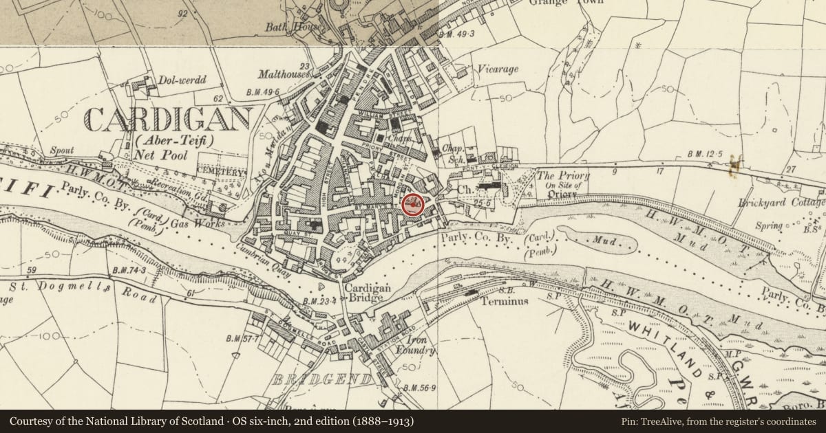Ordnance Survey six-inch map, 2nd edition (1888–1913) covering the location of 21 St Marys Street, Cardigan, Ceredigion, with a pin at the register's coordinates