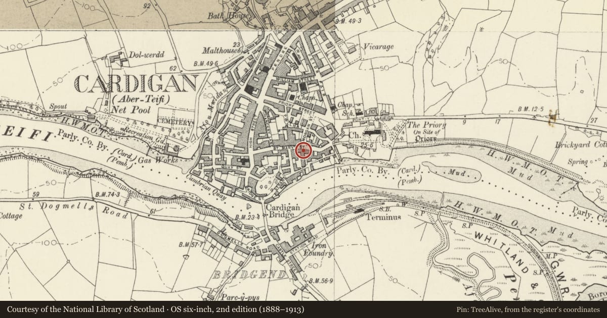 Ordnance Survey six-inch map, 2nd edition (1888–1913) covering the location of The Angel Hotel, Cardigan, Ceredigion, with a pin at the register's coordinates