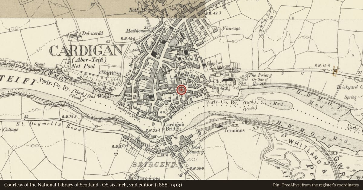 Ordnance Survey six-inch map, 2nd edition (1888–1913) covering the location of Cardigan & Tivyside Advertiser, Ceredigion, with a pin at the register's coordinates