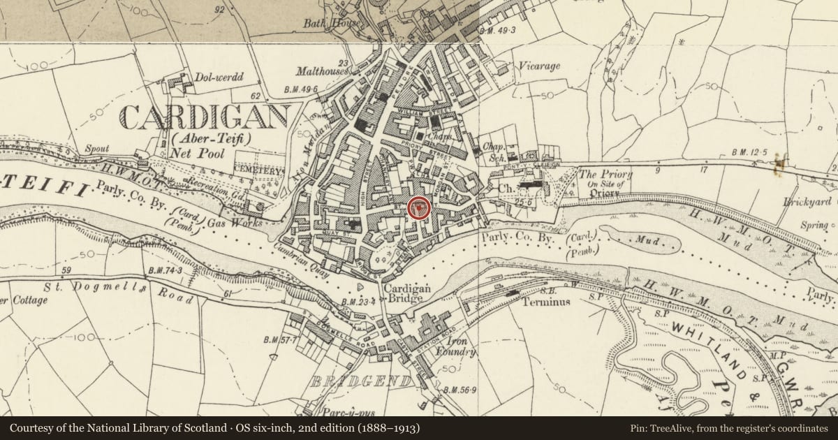 Ordnance Survey six-inch map, 2nd edition (1888–1913) covering the location of Avondale, Cardigan, Ceredigion, with a pin at the register's coordinates