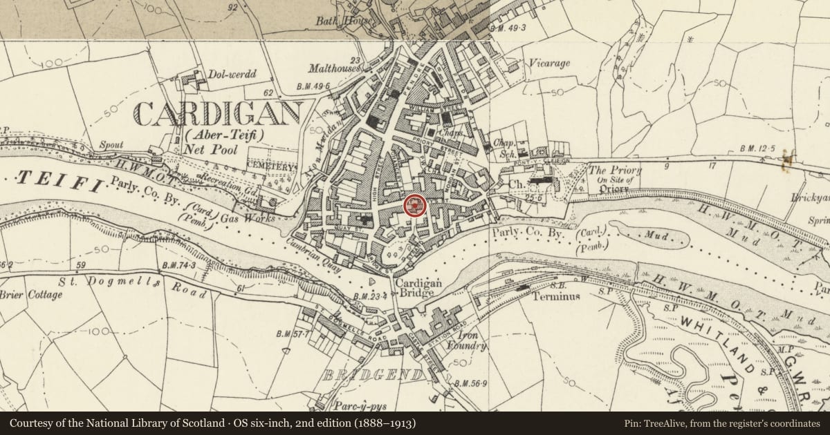 Ordnance Survey six-inch map, 2nd edition (1888–1913) covering the location of Pedestrian Gate between no 43 & The Old Stables, Cardigan, Ceredigion, with a pin at the register's coordinates