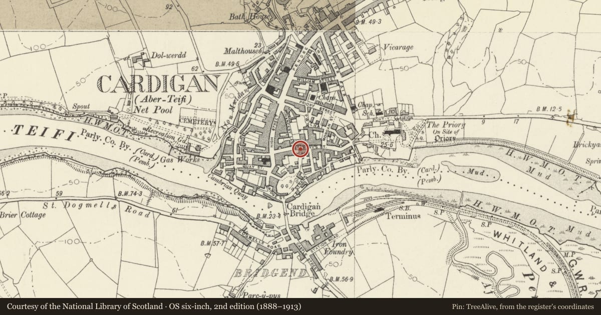 Ordnance Survey six-inch map, 2nd edition (1888–1913) covering the location of The Old Stables, Cardigan, Ceredigion, with a pin at the register's coordinates