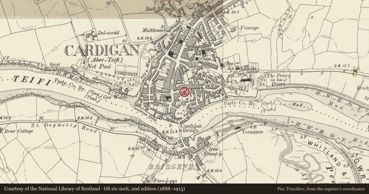 Ordnance Survey six-inch map, 2nd edition (1888–1913) covering the location of The Old Custom House (part), Cardigan, Ceredigion, with a pin at the register's coordinates