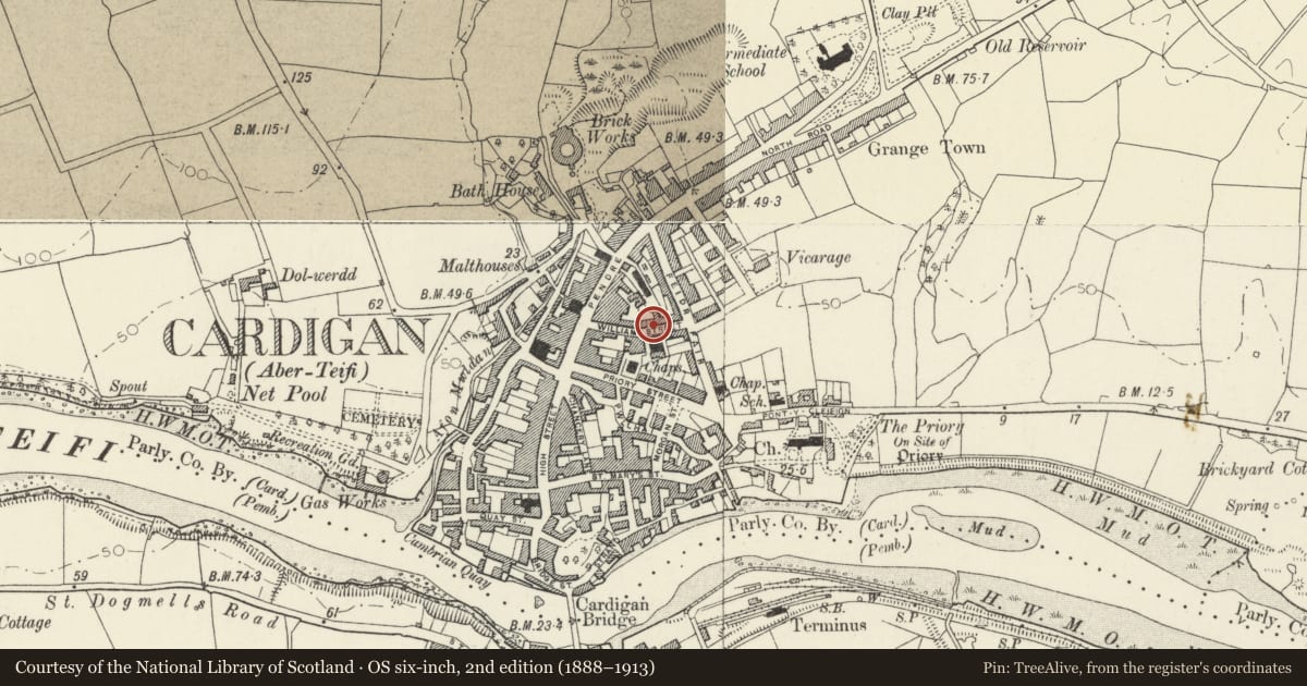 Ordnance Survey six-inch map, 2nd edition (1888–1913) covering the location of 12 William Street including Iron Railings to Front Area, Cardigan, Ceredigion, with a pin at the register's coordinates