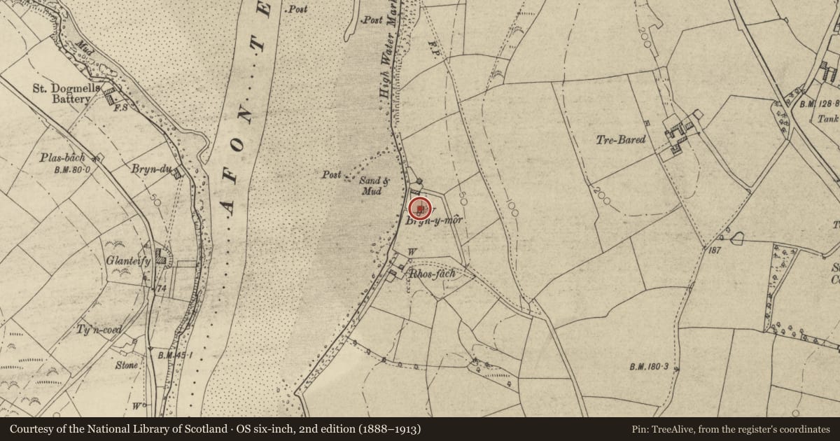 Ordnance Survey six-inch map, 2nd edition (1888–1913) covering the location of Bryn-y-Mor, Cardigan, Ceredigion, with a pin at the register's coordinates
