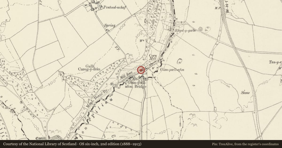 Ordnance Survey six-inch map, 2nd edition (1888–1913) covering the location of Glanpwllafan, Cardigan, Ceredigion, with a pin at the register's coordinates