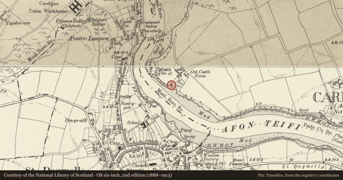 Ordnance Survey six-inch map, 2nd edition (1888–1913) covering the location of Limekiln to SW of Old Castle Farm, Cardigan, Ceredigion, with a pin at the register's coordinates