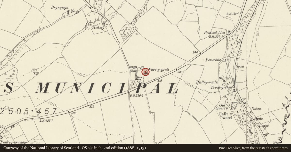 Ordnance Survey six-inch map, 2nd edition (1888–1913) covering the location of Parc-y-Pratt, Cardigan, Ceredigion, with a pin at the register's coordinates