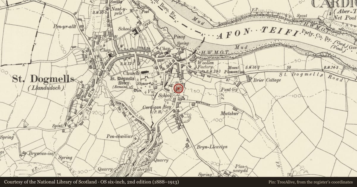 Ordnance Survey six-inch map, 2nd edition (1888–1913) covering the location of Old School Cottage, St. Dogmaels, Pembrokeshire, with a pin at the register's coordinates