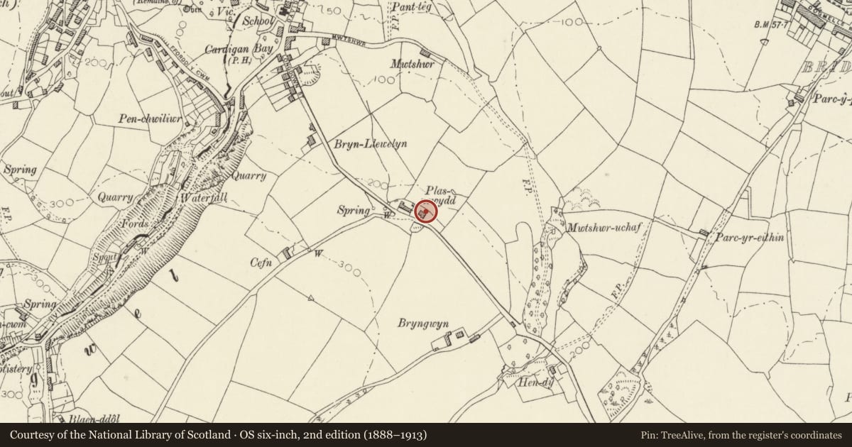 Ordnance Survey six-inch map, 2nd edition (1888–1913) covering the location of Plas Newydd, St. Dogmaels, Pembrokeshire, with a pin at the register's coordinates