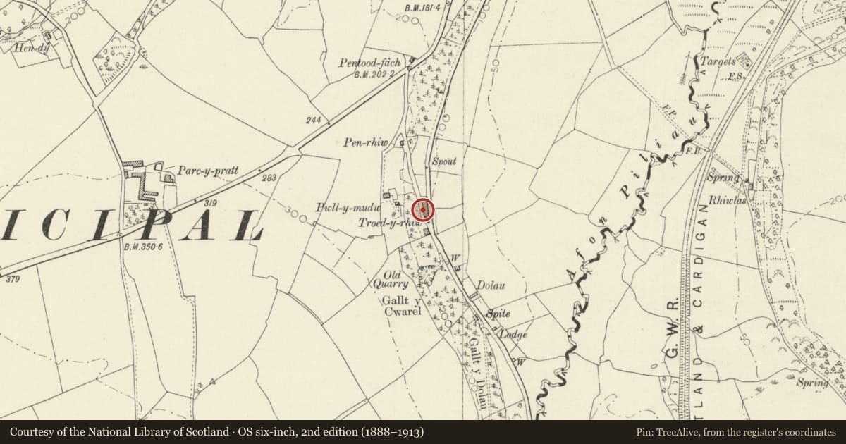 Ordnance Survey six-inch map, 2nd edition (1888–1913) covering the location of Delfryn including Garden Railings & Piers, Cardigan, Ceredigion, with a pin at the register's coordinates