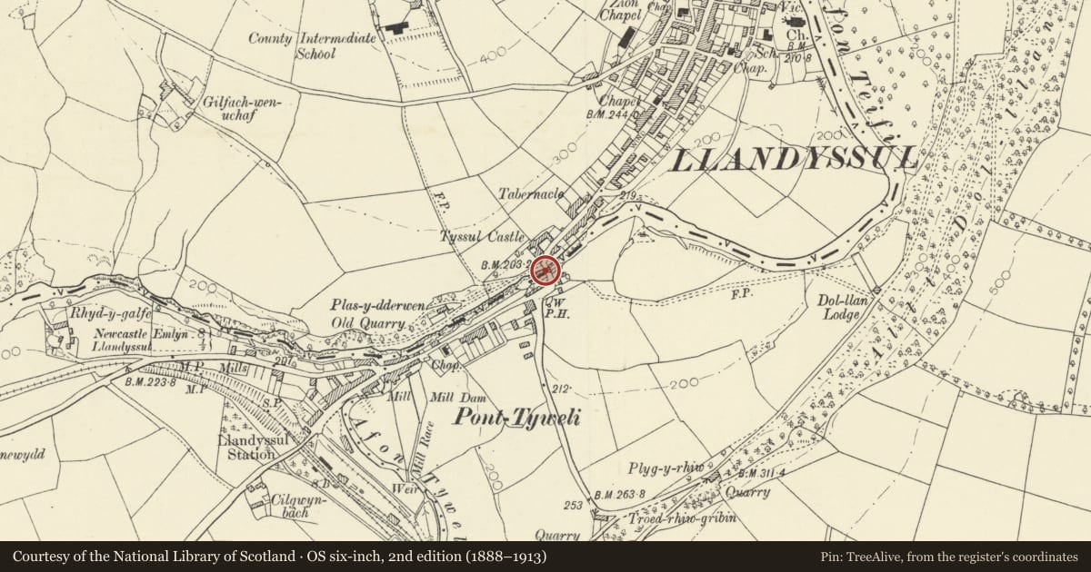 Ordnance Survey six-inch map, 2nd edition (1888–1913) covering the location of Llandysul Bridge (partly in Llanfihangel-ar Arth community, Carmarthenshire), Ceredigion, with a pin at the register's coordinates