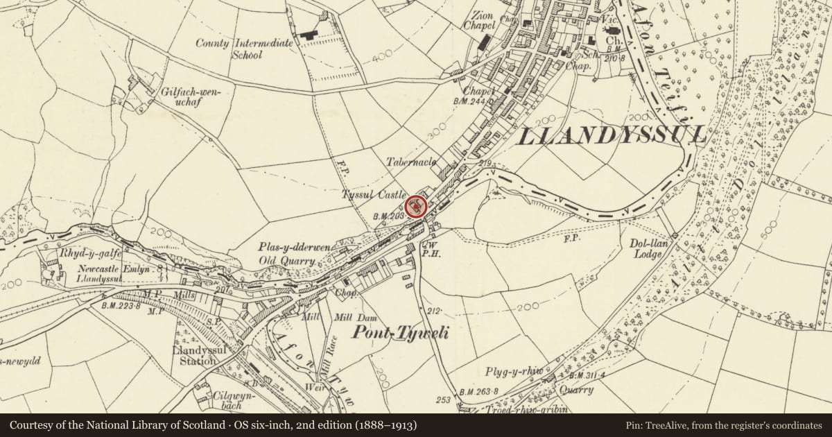 Ordnance Survey six-inch map, 2nd edition (1888–1913) covering the location of Caerglyn, Llandysul, Ceredigion, with a pin at the register's coordinates