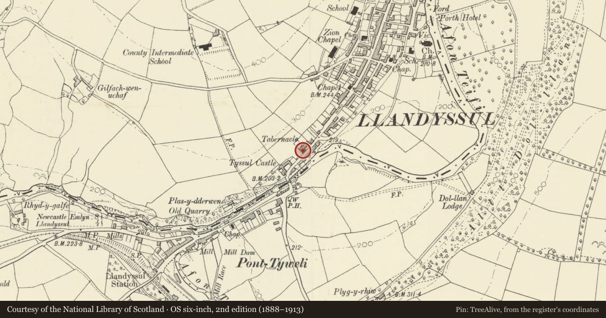 Ordnance Survey six-inch map, 2nd edition (1888–1913) covering the location of Dinarth Hall, Llandysul, Ceredigion, with a pin at the register's coordinates