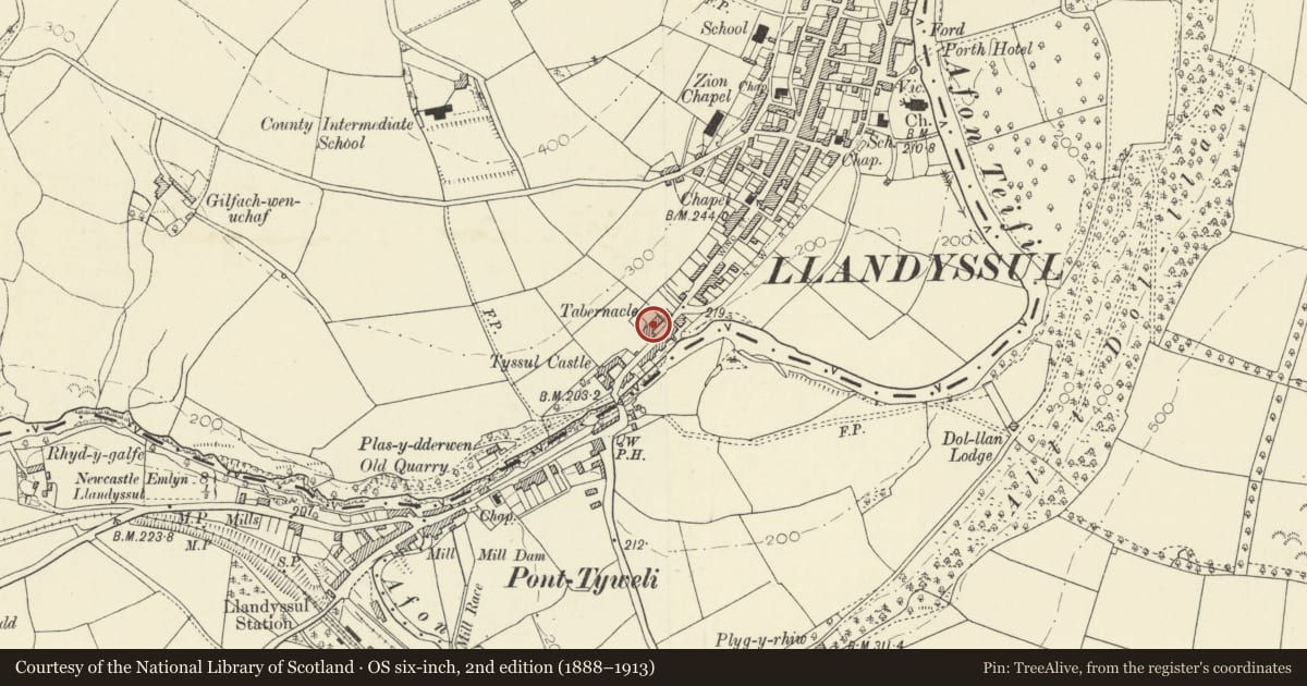 Ordnance Survey six-inch map, 2nd edition (1888–1913) covering the location of Tabernacle Chapel, Llandysul, Ceredigion, with a pin at the register's coordinates