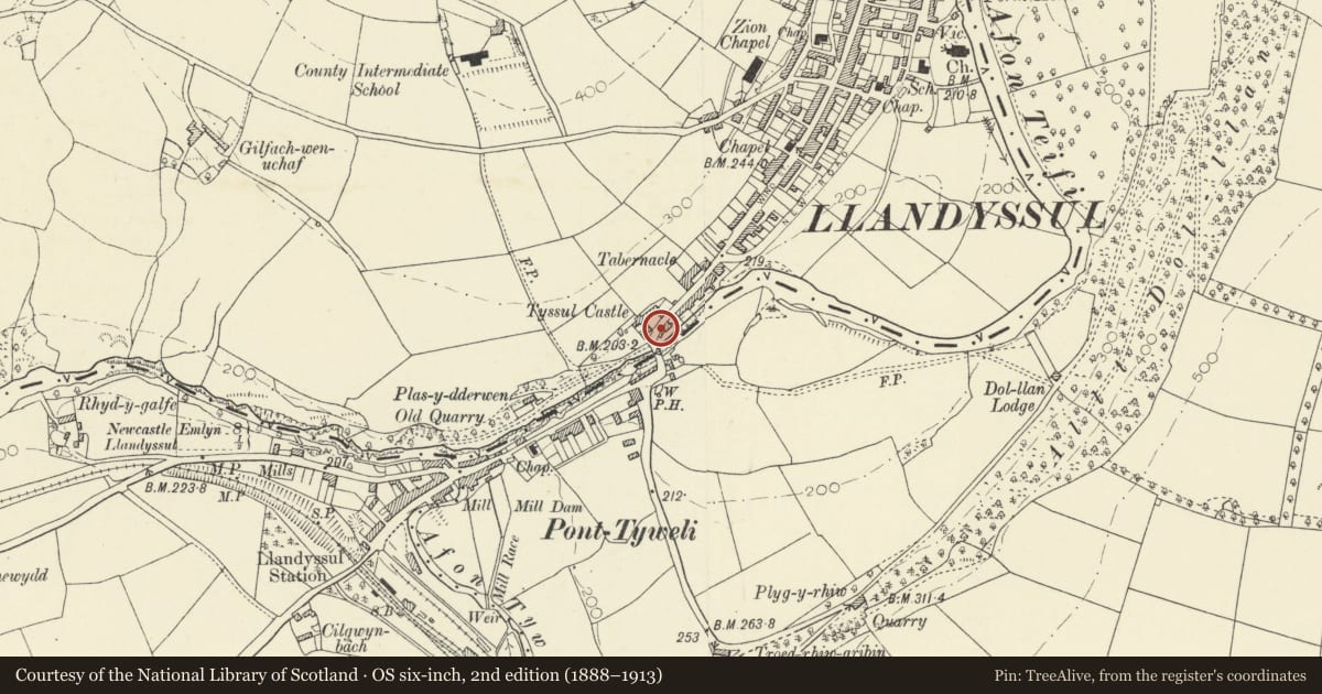 Ordnance Survey six-inch map, 2nd edition (1888–1913) covering the location of Bridge Street, Llandysul, Ceredigion, with a pin at the register's coordinates
