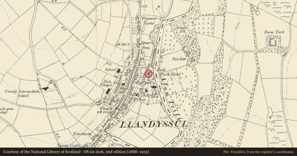 Ordnance Survey six-inch map, 2nd edition (1888–1913) covering the location of Range attached to left of the Porth Hotel, Llandysul, Ceredigion, with a pin at the register's coordinates