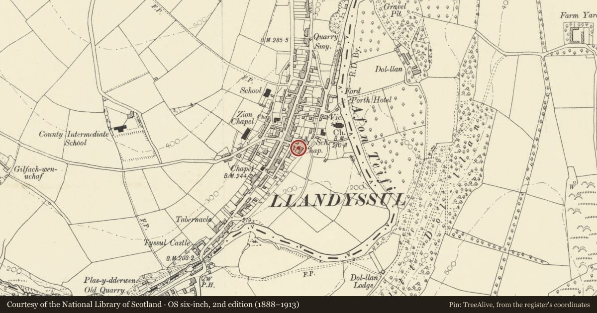 Ordnance Survey six-inch map, 2nd edition (1888–1913) covering the location of Carreg Llys, Wesley Hill, Llandysul, Ceredigion, with a pin at the register's coordinates