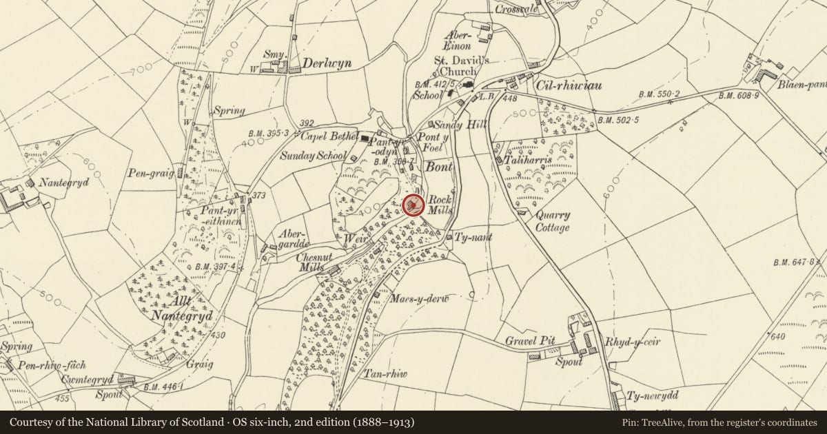 Ordnance Survey six-inch map, 2nd edition (1888–1913) covering the location of Rock Mills, Llandysul, Ceredigion, with a pin at the register's coordinates