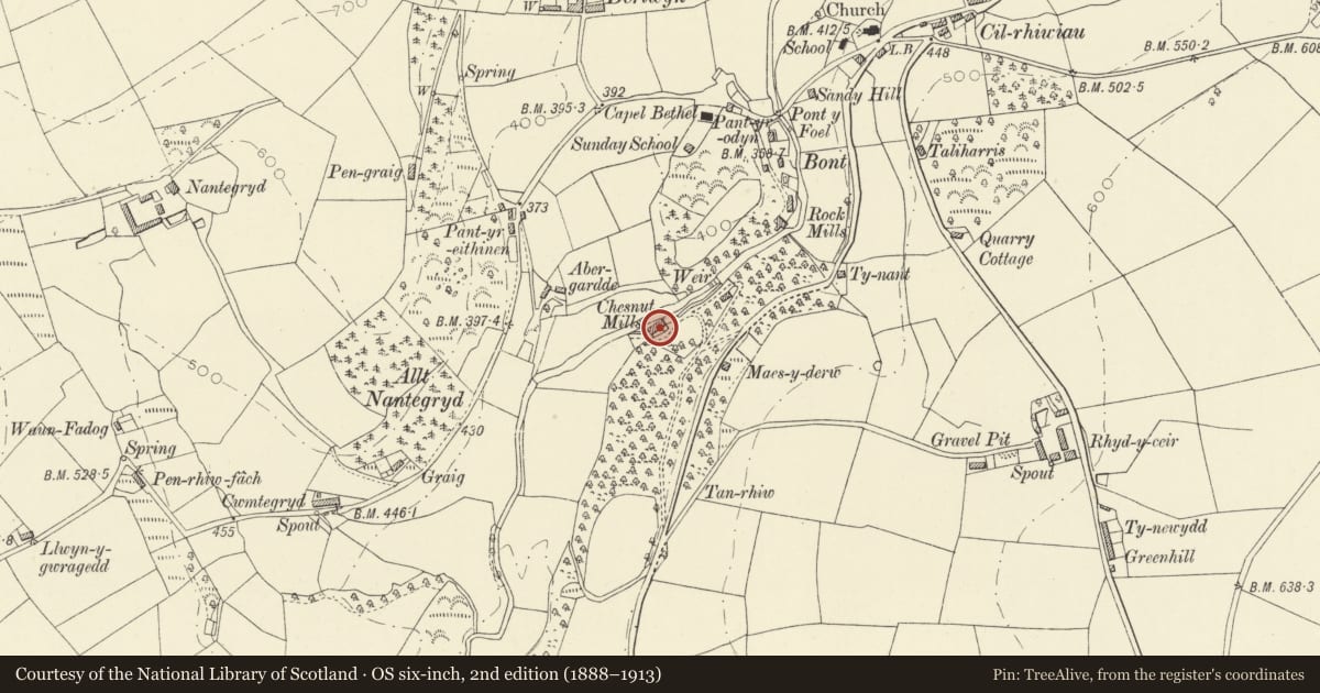 Ordnance Survey six-inch map, 2nd edition (1888–1913) covering the location of Chestnut Mills, Llandysul, Ceredigion, with a pin at the register's coordinates