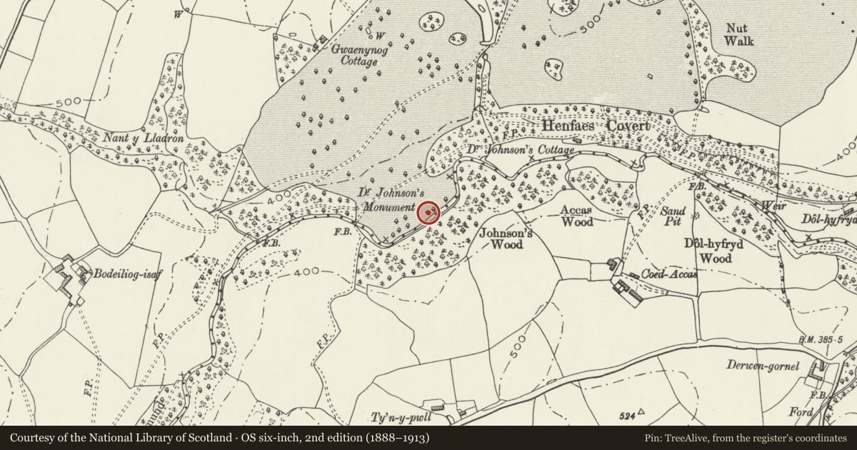 Ordnance Survey six-inch map, 2nd edition (1888–1913) covering the location of Dr Johnson's Monument, Denbigh, Denbighshire, with a pin at the register's coordinates