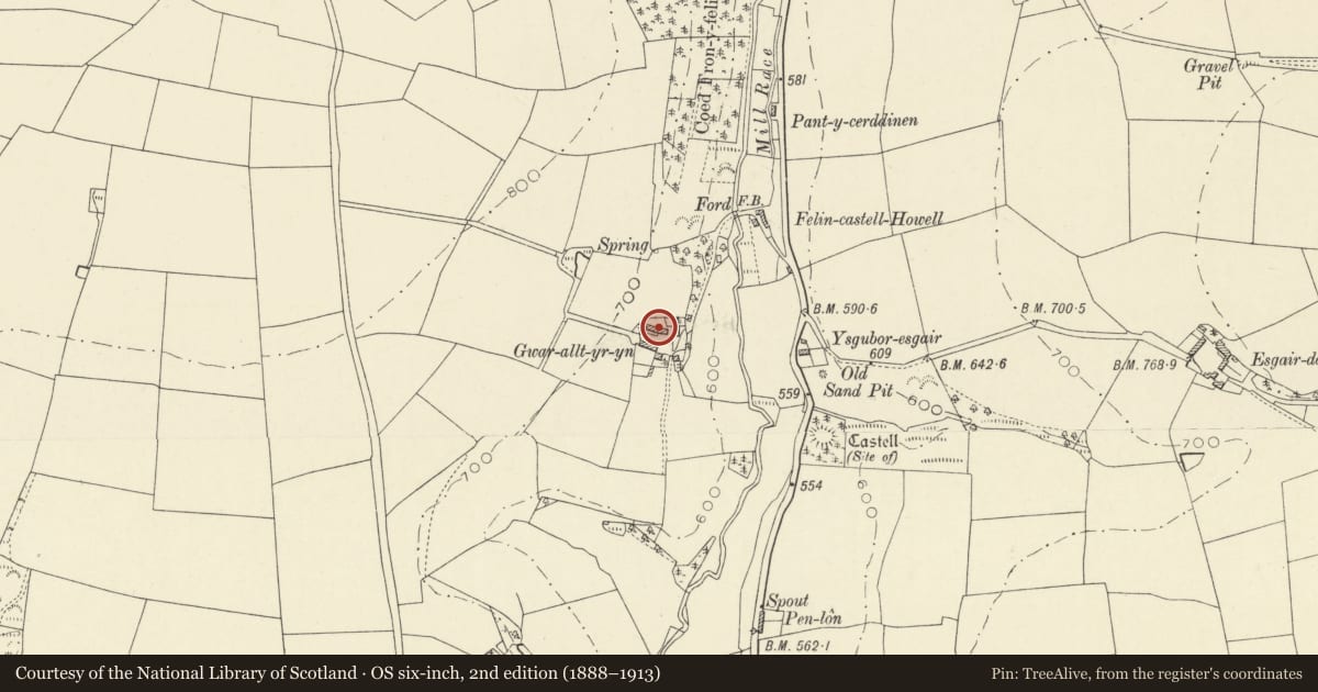 Ordnance Survey six-inch map, 2nd edition (1888–1913) covering the location of Gwaralltyryn, Llandysul, Ceredigion, with a pin at the register's coordinates