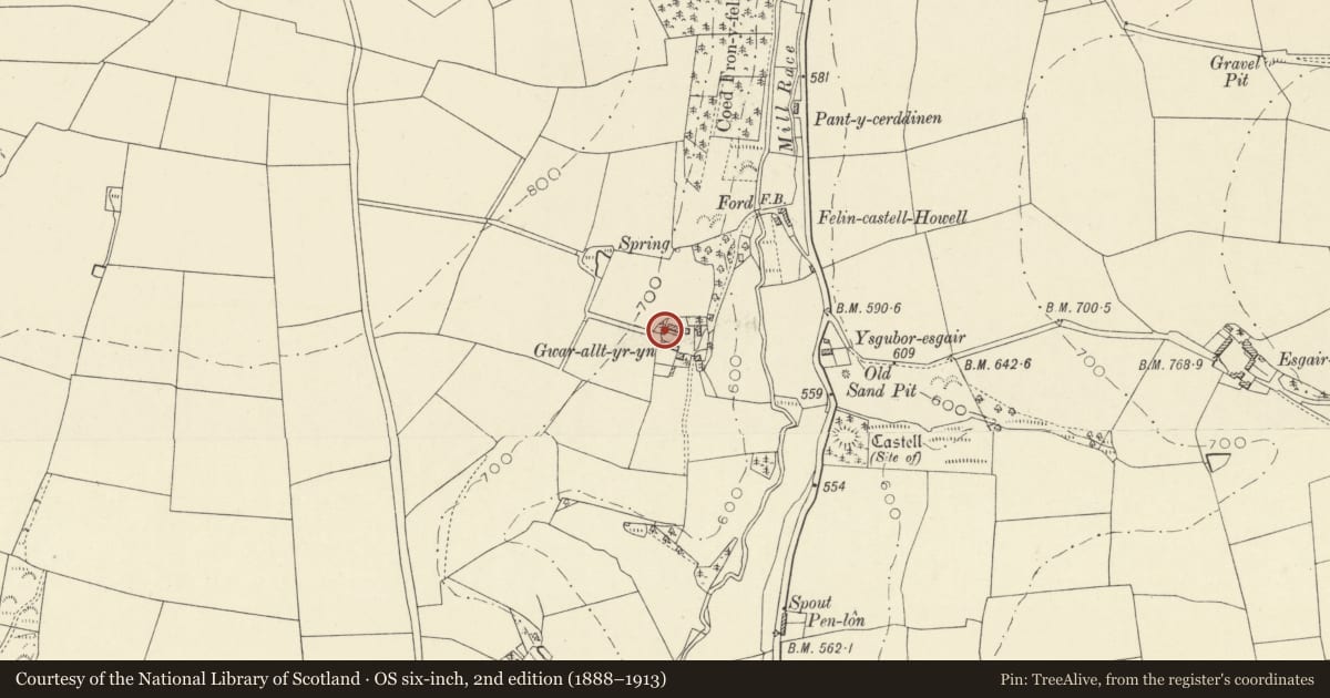Ordnance Survey six-inch map, 2nd edition (1888–1913) covering the location of Cartshed range to left of Gwaralltyryn, Llandysul, Ceredigion, with a pin at the register's coordinates