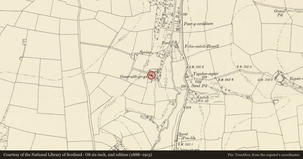 Ordnance Survey six-inch map, 2nd edition (1888–1913) covering the location of Outbuildings opposite Gwaralltyryn, Llandysul, Ceredigion, with a pin at the register's coordinates