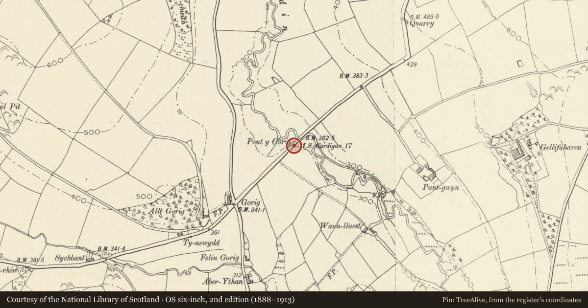 Ordnance Survey six-inch map, 2nd edition (1888–1913) covering the location of Milestone at Pont y Gorrig, Llandysul, Ceredigion, with a pin at the register's coordinates