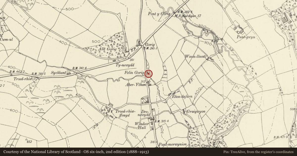 Ordnance Survey six-inch map, 2nd edition (1888–1913) covering the location of Gorrig Mill, Llandysul, Ceredigion, with a pin at the register's coordinates