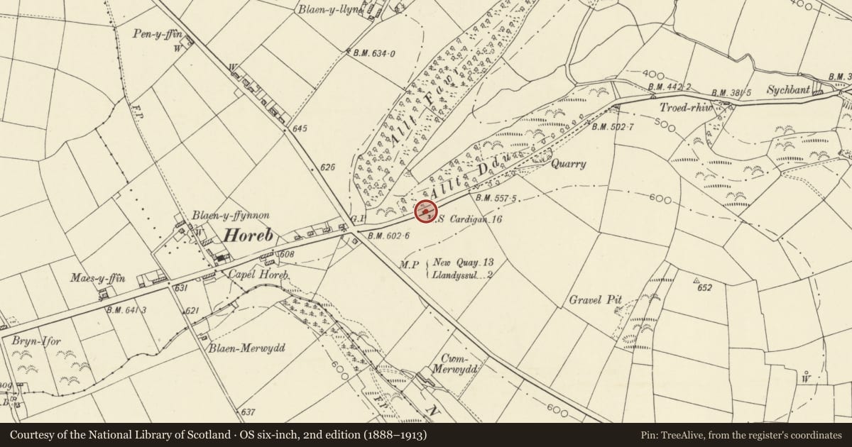 Ordnance Survey six-inch map, 2nd edition (1888–1913) covering the location of Milestone 200m E of A486 crossroads at Horeb, Llandysul, Ceredigion, with a pin at the register's coordinates