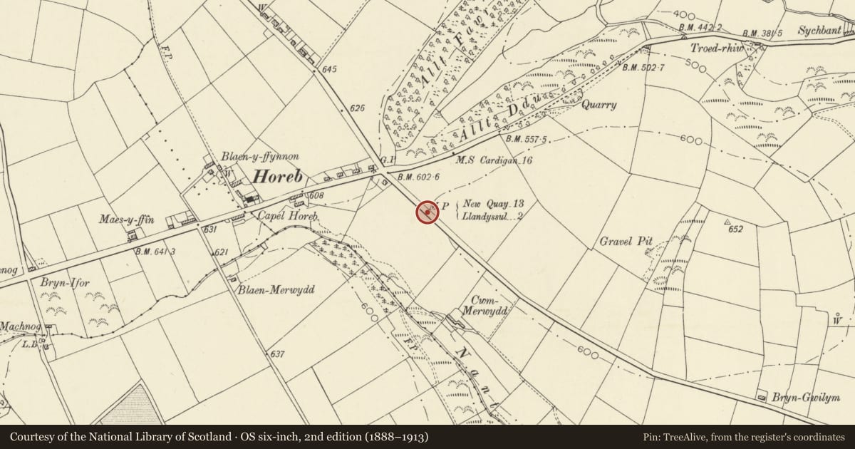 Ordnance Survey six-inch map, 2nd edition (1888–1913) covering the location of Milestone S of Crossroads at Horeb, Llandysul, Ceredigion, with a pin at the register's coordinates