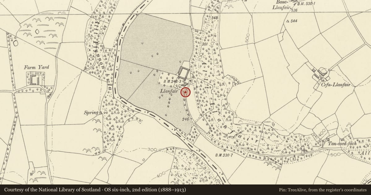 Ordnance Survey six-inch map, 2nd edition (1888–1913) covering the location of Gatepiers & Gates to S of Llanfair, Llandysul, Ceredigion, with a pin at the register's coordinates