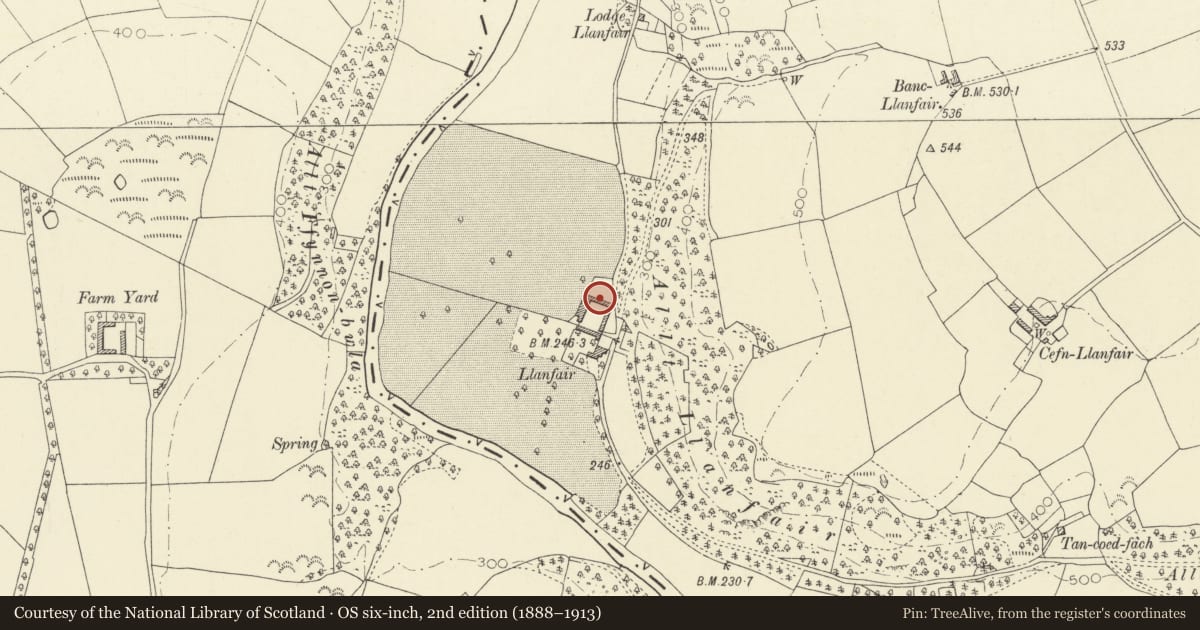 Ordnance Survey six-inch map, 2nd edition (1888–1913) covering the location of One of Four Linked Outbuildings forming Courtyard at Llanfair, Llandysul, Ceredigion, with a pin at the register's coordinates