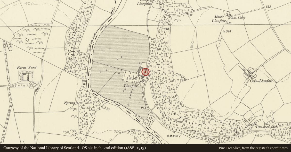 Ordnance Survey six-inch map, 2nd edition (1888–1913) covering the location of One of Four Linked Outbuildings forming Courtyard at Llanfair, Llandysul, Ceredigion, with a pin at the register's coordinates