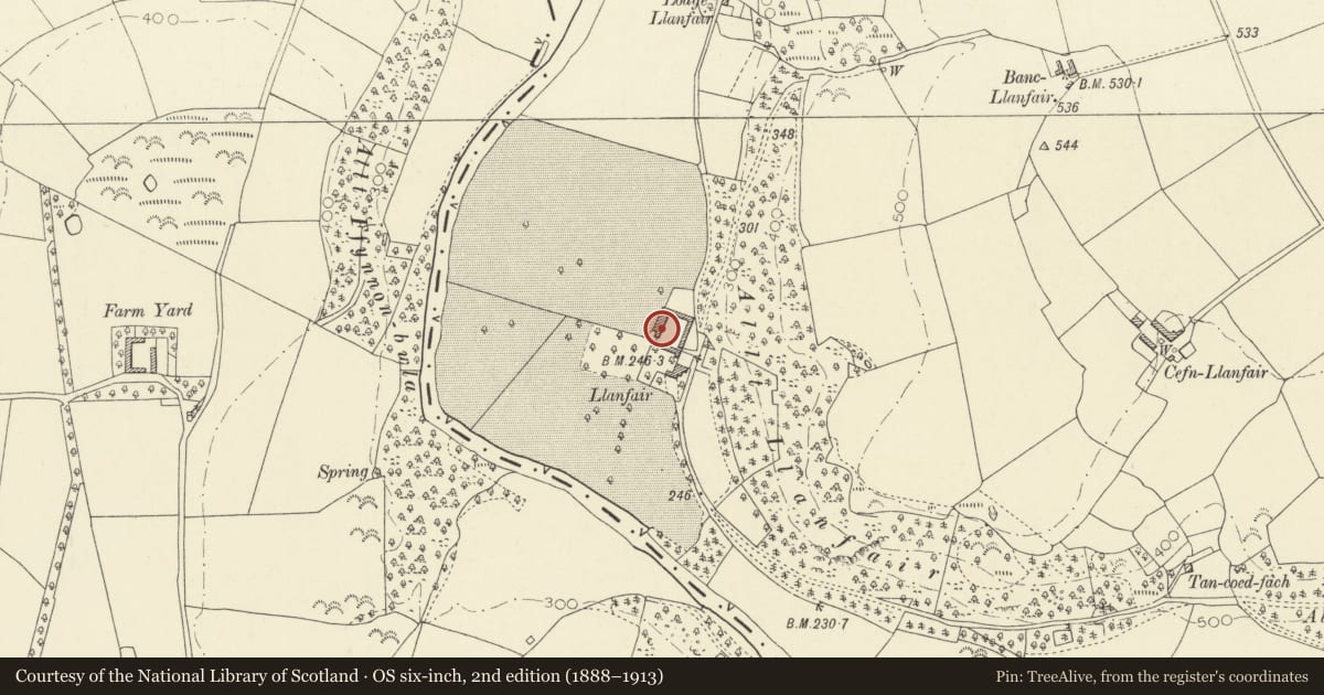 Ordnance Survey six-inch map, 2nd edition (1888–1913) covering the location of One of Four Linked Outbuildings forming Courtyard at Llanfair, Llandysul, Ceredigion, with a pin at the register's coordinates